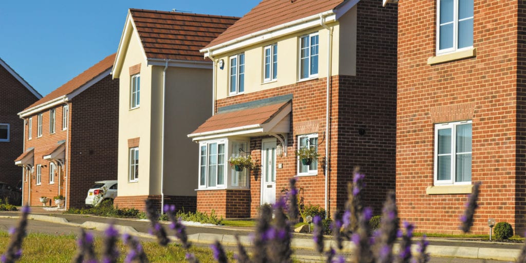 Photograph of new homes with purple lavender flowers in the foreground