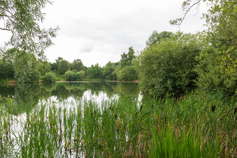 View across Outney Meadow near Broome