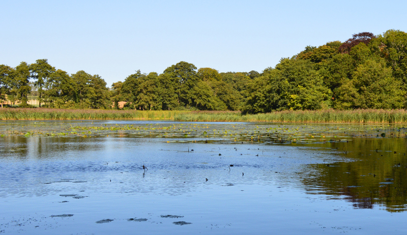 View across Outney Meadow near Broome