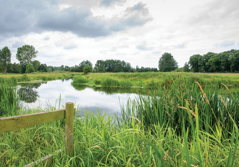 View across Outney Meadow near Broome