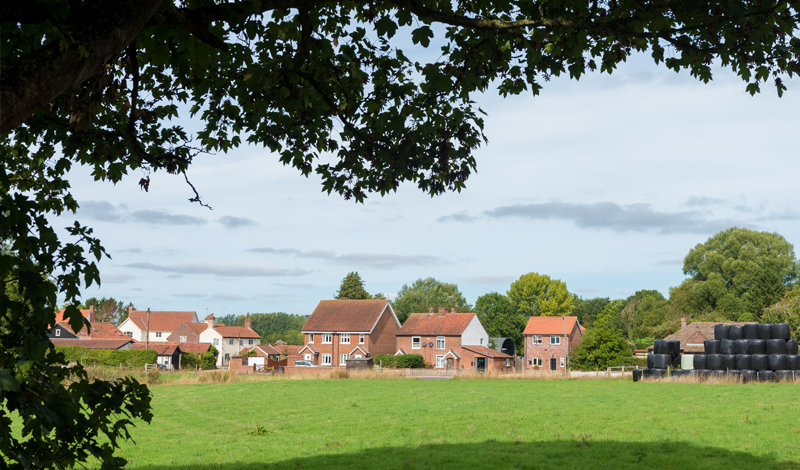 View across Outney Meadow near Broome