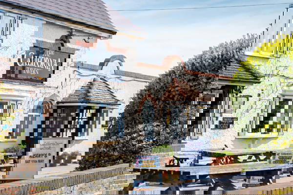 Lush green trees, shrubs and grass on the edge of a field near Worlingham, Suffolk