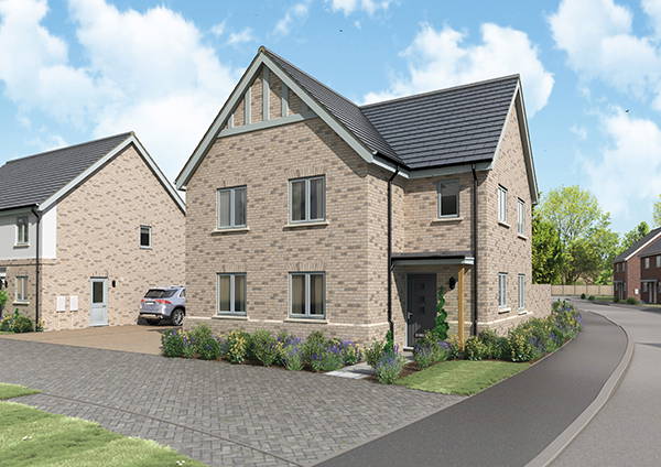 Badger Building The Landings - Glemham
